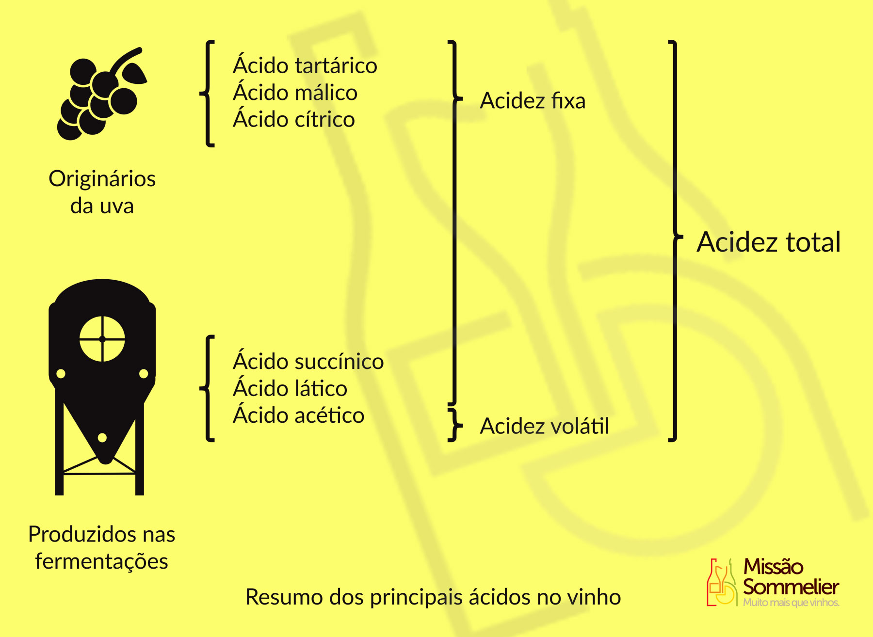 O ácido Tartárico é O Principal ácido Do Vinho - RETOEDU